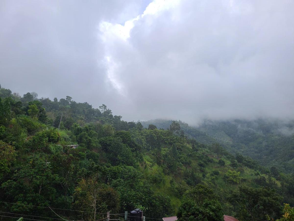 Jay'S Guest House II Epping Farm Bagian luar foto
