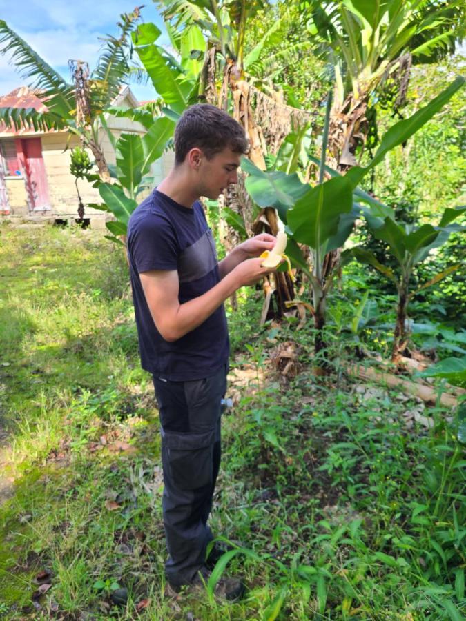 Jay'S Guest House II Epping Farm Bagian luar foto